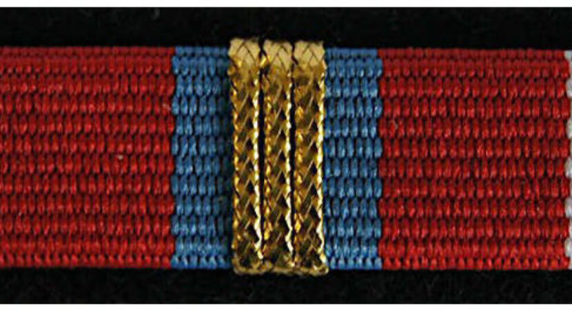 Baretka - Złota Odznaka Zasłużony dla Krajowej Administracji Skarbowej (MIL3153) SR MIL3153